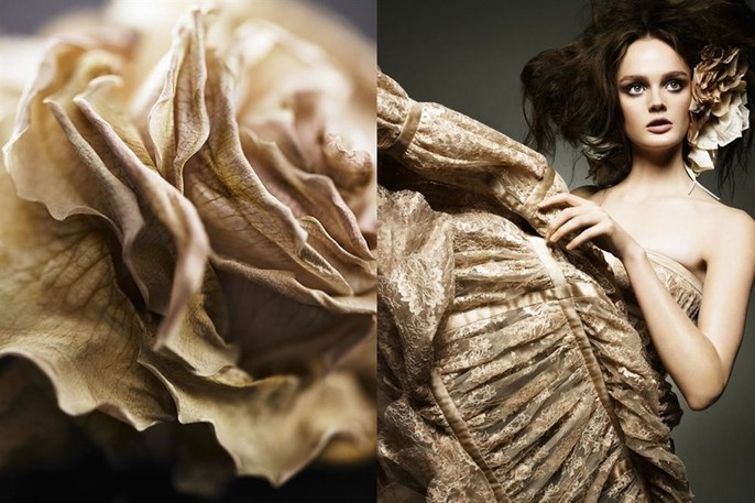 fashion52.jpg