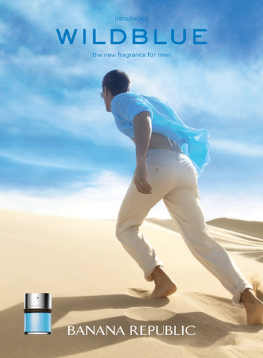 WildBlue Ad Agent Request.jpg